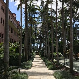 Meet your Posher, Paige